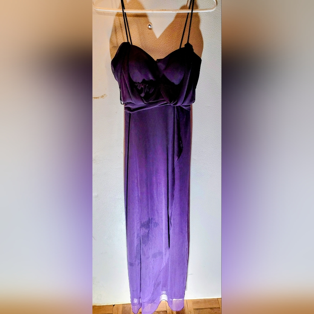 Betsy & Adam Rich Plum Evening Dress